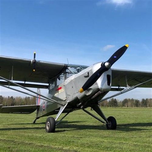 auster on ground auster on ground
